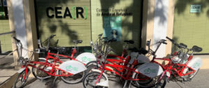 alberto contador cear